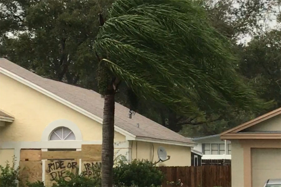 Windows were boarded up in preparation for Irma's strong winds. 