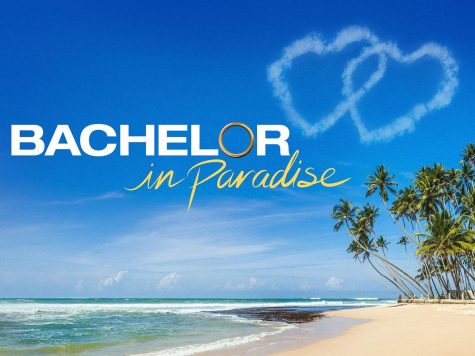 Debra Tries “Bachelor in Paradise”