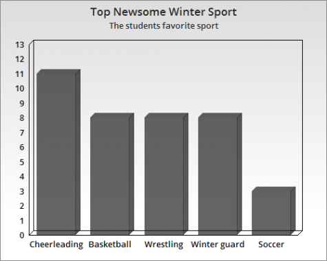 Newsome’s Winter Sport Break Down: Newsome’s favorite winter sports