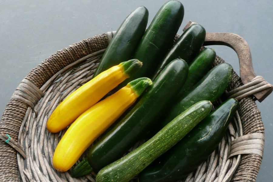 The fruit of mediocrity: Zucchini